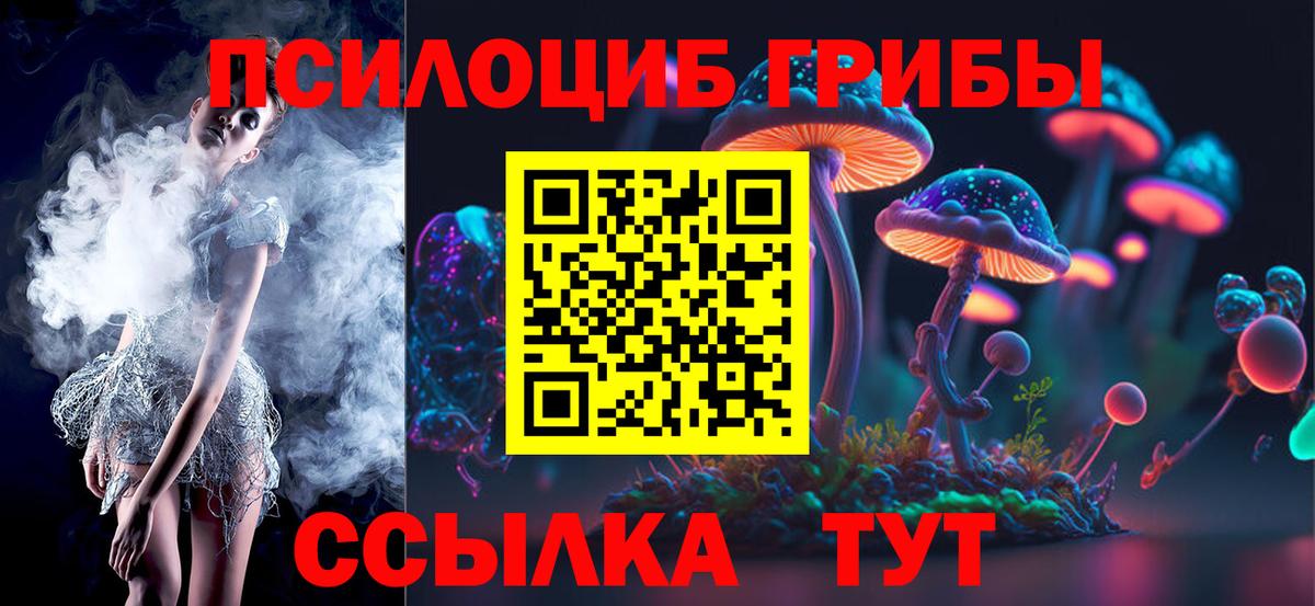 Люберцы  Псилоцибиновые грибы MAGIC MUSHROOMS  Вход с VPN 